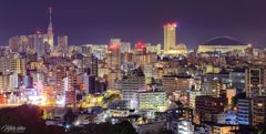 南公園からの夜景