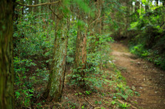 登山道