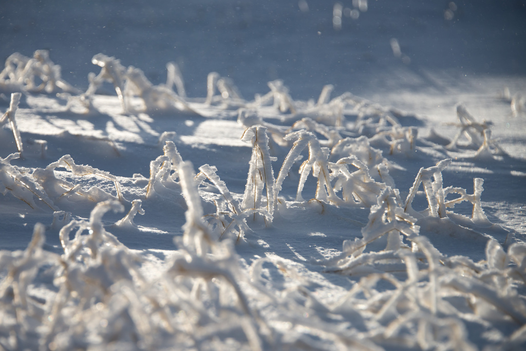 風雪