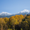 十勝岳連峰と紅葉