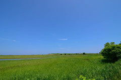 オホーツクの夏