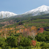 雪を抱きし十勝岳連峰