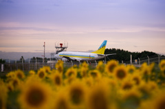 ようこそ北海道～夏～