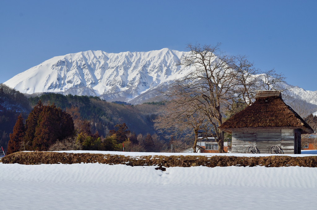 御机からの大山