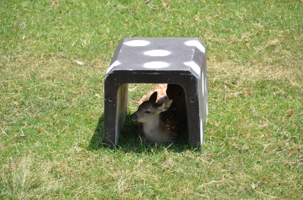 くつろぎ