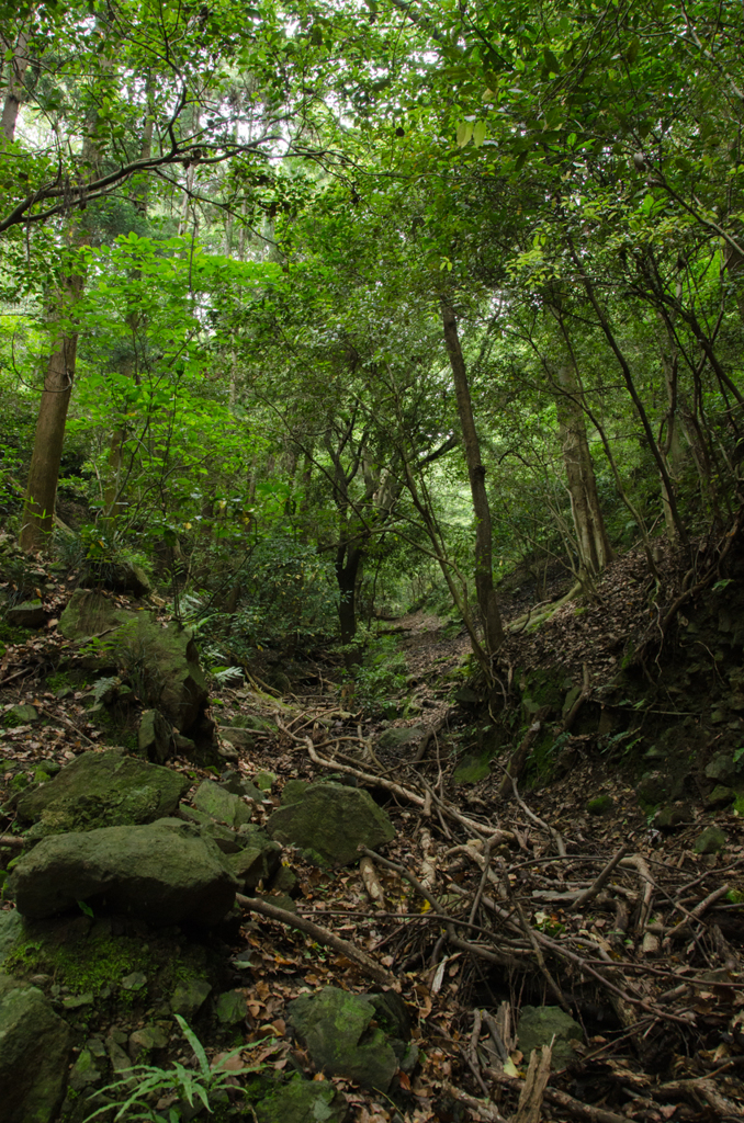 魚屋道