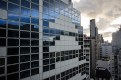 Reflected Windows