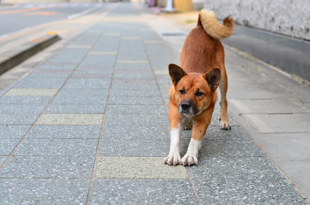 ちょっと行ってみるか