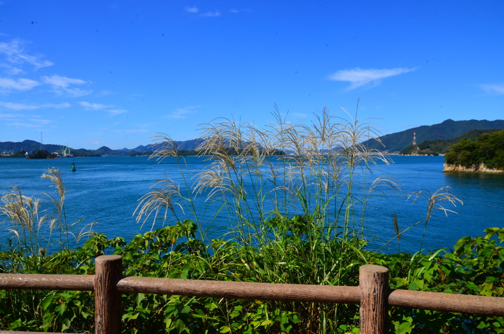 しまなみ海道自転車旅2