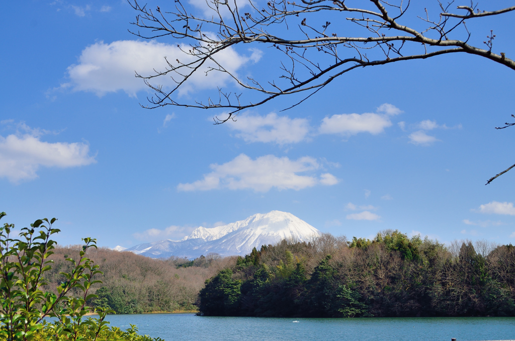 岡成池からの大山