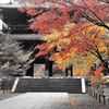_DSC0956...2..nanzen...A3...BC...HITO