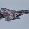 飛行教導隊・アグレッサー