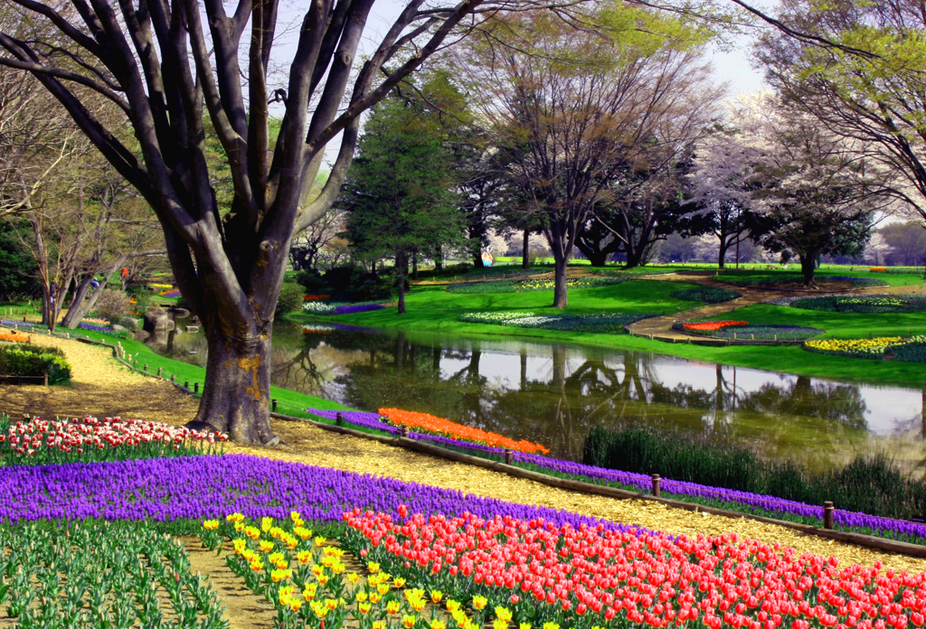 IMG_7570....7..a3...showa