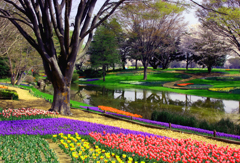 IMG_7570....7..a3...showa