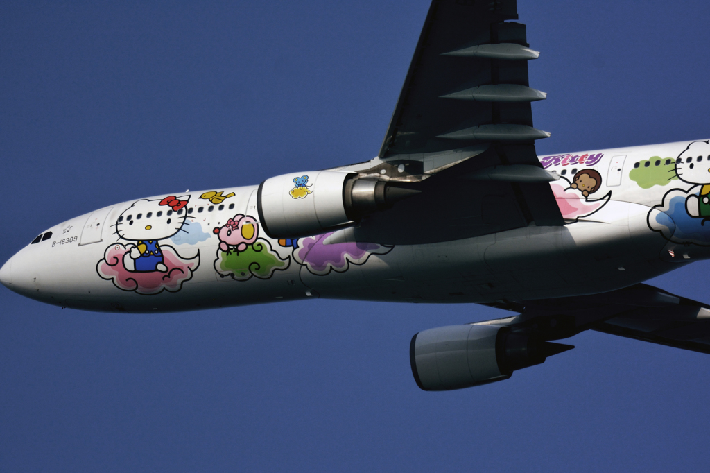 D71_2682...hito