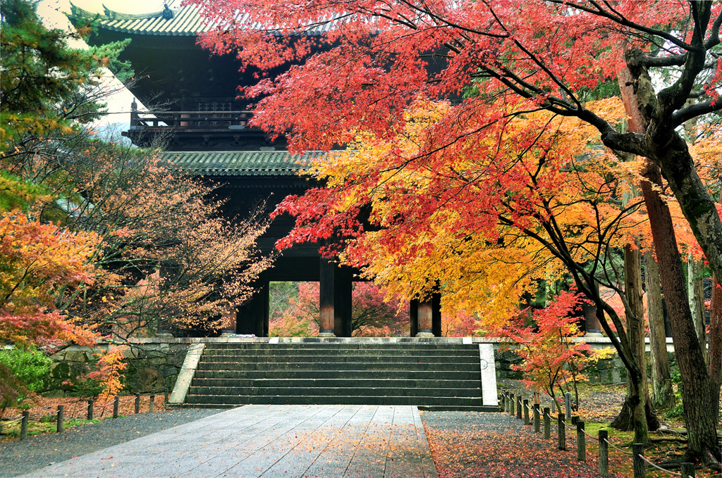 _DSC0956.nanzenji....hito