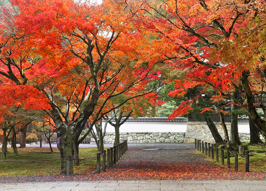 _DSC1015...nanzenji..hito