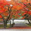 _DSC1015...nanzenji..hito