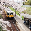 ２０１４春　⑱～桜駅