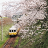２０１４春　⑰～桜駅