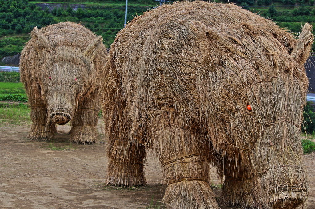 ウリ坊が行く