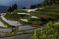 高知の棚田てくてく～午後編　