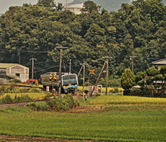急カーブ