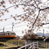 ２０１４春　⑯～コトデンの春