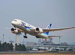 写活してま～す