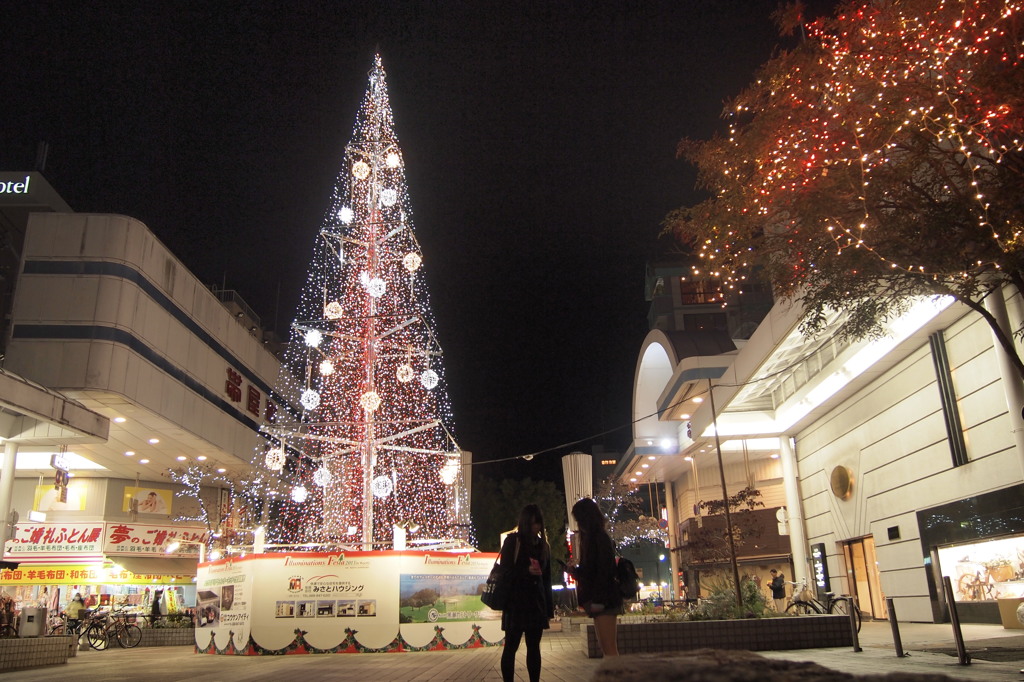 メリークリスマス☆