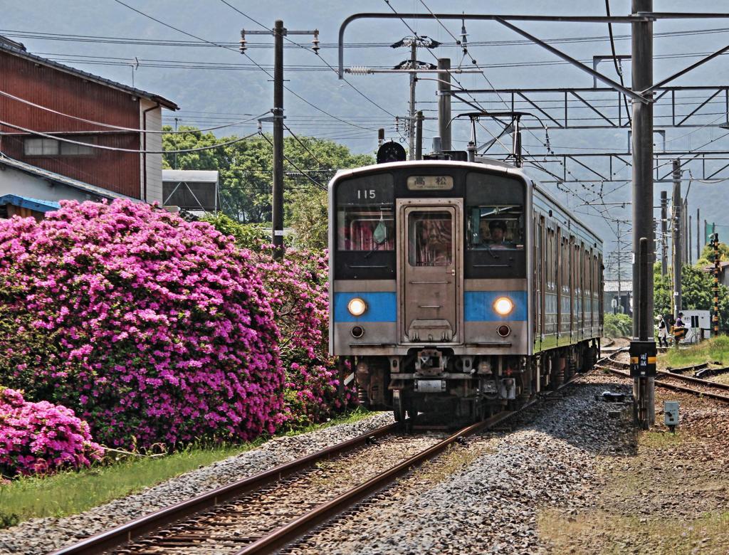 ツツジの駅