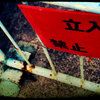 あぶないよ