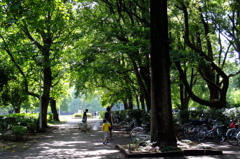近所の公園日曜の朝　１