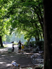 近所の公園日曜の朝　２