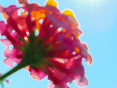 ぼや～ん