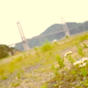 呼子大橋