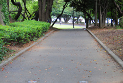 散歩道