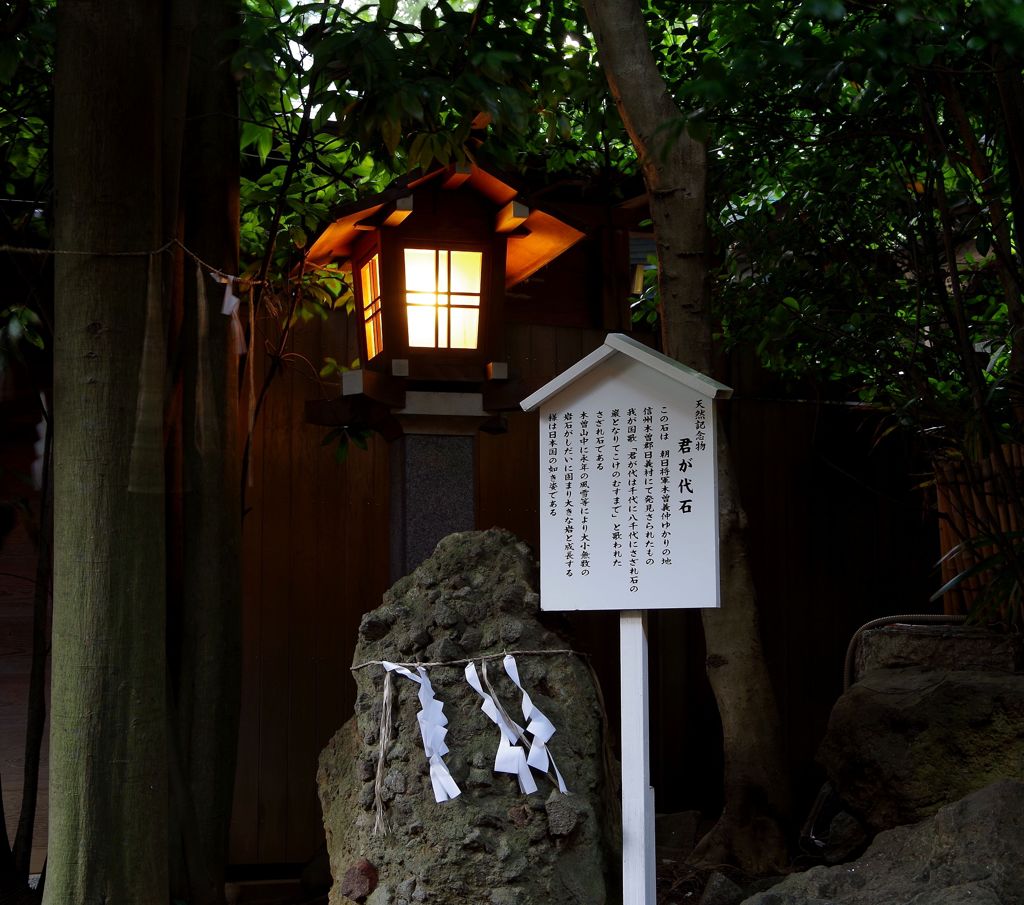 夕暮れの検見川神社