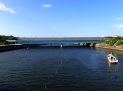 朝の散歩道