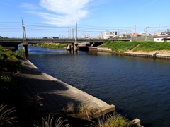 朝の散歩道