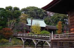 中山法華経寺