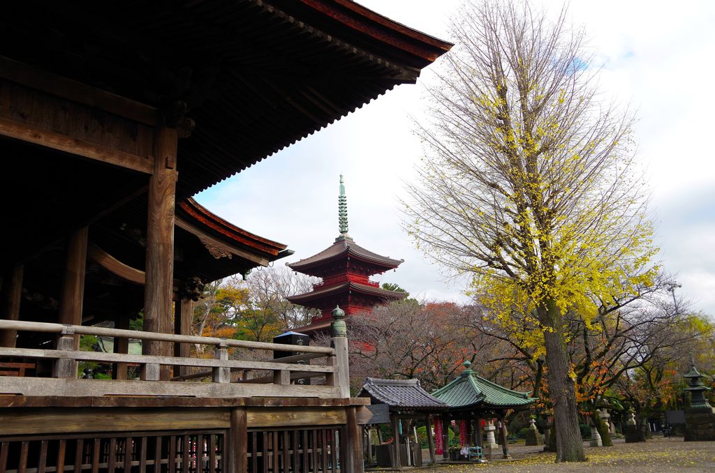 中山法華経寺