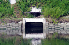 水辺の散歩道６