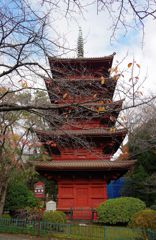 中山法華経寺