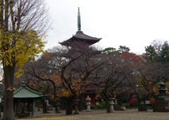 中山法華経寺