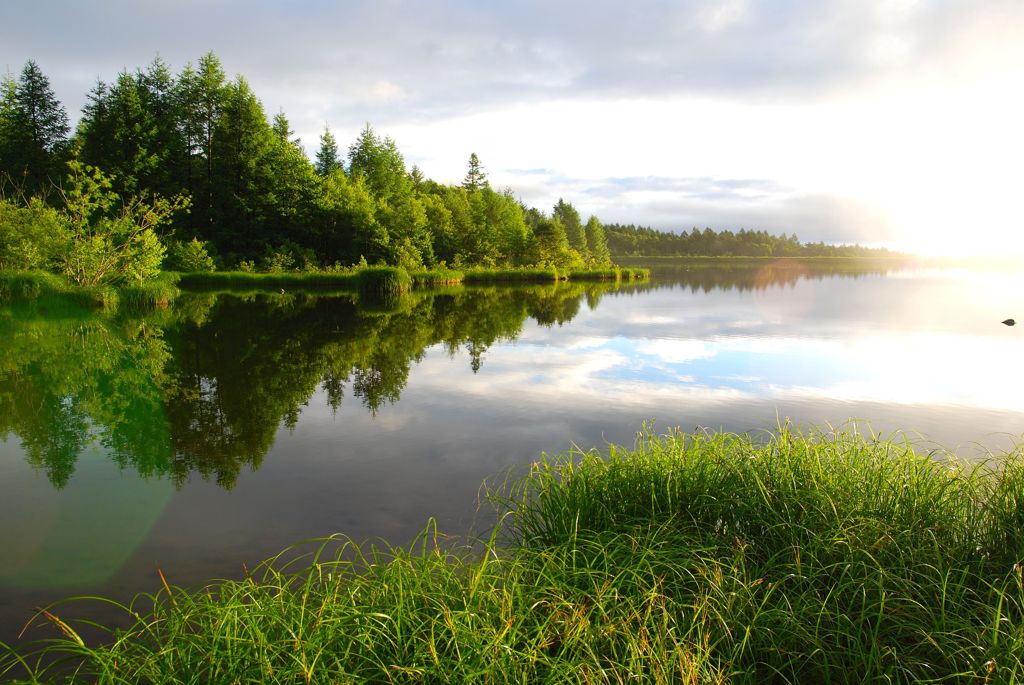 どこでしょう？