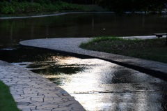 夕方の公園