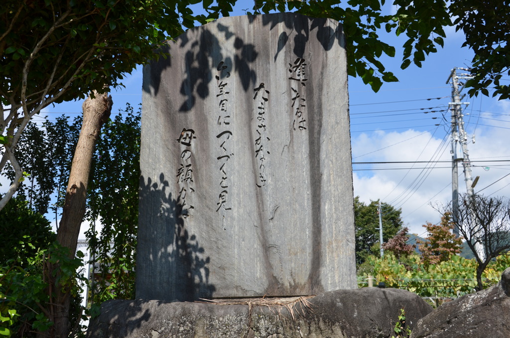 逢いたるは・・・・