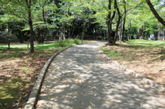 秋の気配の散歩道