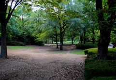 夕方の公園